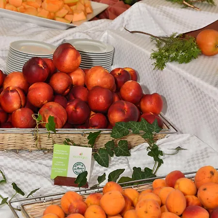 Szálloda Nona Albena