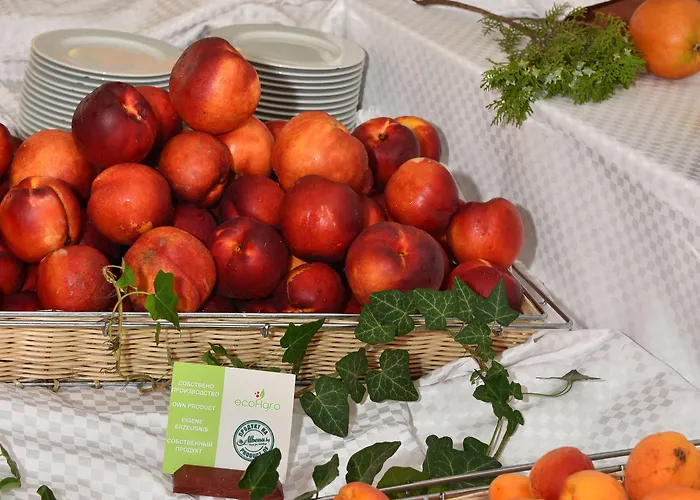 מלון Nona אלבנה