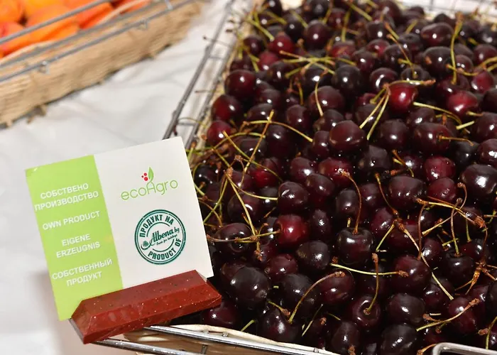 нона Хотел 3*